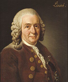 Carolus Linnaeus   [1]