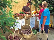 Growers Market