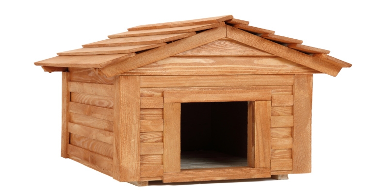 Вы также можете использовать занавес или построить своего рода вестибюль, который будет ограничивать ветер, поступающий в квартиру собаки